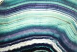 Colorful, Polished Rainbow Fluorite Slab #264626-1